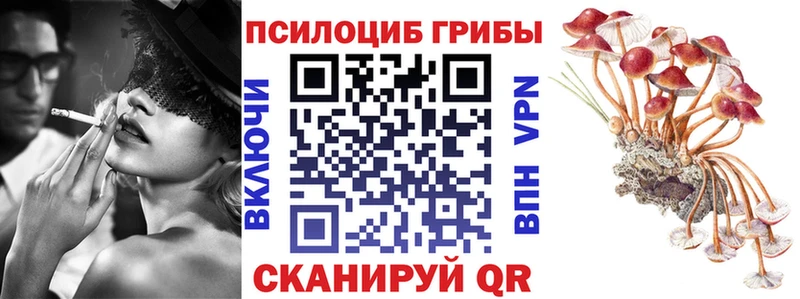 Псилоцибиновые грибы мицелий Купить где Новоузенск